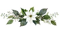 White poinsettia flower with green leaves and berries in elegant horizontal arrangement isolated on transparent background for holiday decorations.