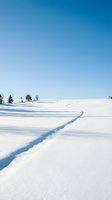 Winding frozen stream cuts through pristine snow-covered landscape under clear blue sky, featuring evergreen trees on horizon. Winter scenery for travel and nature projects.