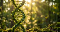 Green moss-covered DNA double helix structure in natural forest environment with golden sunlight and bokeh background for biotechnology concepts.