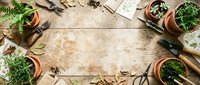 Young woman with light skin tone, wearing casual gardening attire, arranges potted herbs and plants on rustic wooden surface with gardening tools for home cultivation and botanical hobby projects.