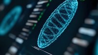 Glowing blue mitochondrial structure with DNA helix pattern against dark background showing cellular energy production and genetic research visualization.
