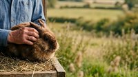 Farmer holding brown rabbit in rural field setting with crops and natural daylight background.