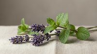 Fresh lavender sprigs with green mint leaves arranged on natural linen fabric for aromatherapy and herbal wellness applications.