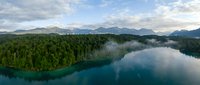 Aerial view of pristine mountain lake surrounded by dense green forest with misty clouds reflecting on calm turquoise water surface in wilderness landscape.