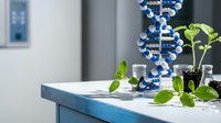 Modern laboratory workspace with DNA helix model, green plants in glass containers and scientific equipment for biotechnology research and genetic studies.