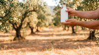 Person with medium skin tone holding white bottle of olive oil in orchard with mature trees, harvesting season, agricultural production and organic farming concept.