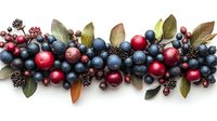 Fresh berries border arrangement with blueberries, blackberries, cranberries and green leaves on white background, top view composition for food design.