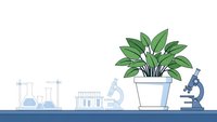 Laboratory workspace with green plant, microscope, test tubes and scientific equipment on blue counter for research and education.