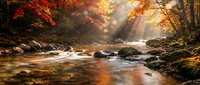Autumn forest stream with vibrant red and orange foliage, sunlight rays filtering through trees, peaceful water flowing over rocks creating serene nature scene.