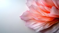 Delicate coral pink petals create soft layered texture in macro view against light background, showcasing gentle gradients and ethereal floral details.