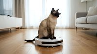 Siamese cat sitting on white robotic vacuum cleaner in modern living room with wooden floors and contemporary furniture for smart home automation.
