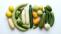 Fresh green vegetables and gourds arranged on white background, including cucumbers, okra, bottle gourds, and bitter melons for healthy cooking and nutrition concepts.