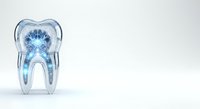 Transparent tooth cross-section showing internal anatomy with pulp chamber and root canals, isolated on white background for dental education, medical presentations, and healthcare design projects.