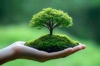 Hand holding miniature tree growing on moss-covered mound against green background, symbolizing environmental conservation and sustainable growth.