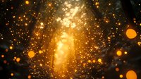 Magical glowing orange bokeh lights and sparkles creating mystical forest atmosphere with sunbeams shining through dark trees in misty woodland.