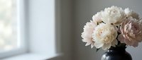 Soft pink and white peony flowers in dark vase by window creating elegant home decor arrangement with natural lighting and minimalist aesthetic.