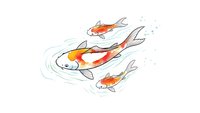Colorful koi fish swimming in pond with water ripples on white background isolated for design projects and decorative applications.