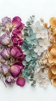 Dried flowers and eucalyptus leaves arranged on white background for crafting, scrapbooking and botanical art projects.