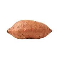 Whole raw sweet potato with russet skin isolated on white background, ready for cooking, nutrition, and food design projects.