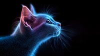 Glowing neon cat profile with detailed wireframe texture against black background, featuring blue and pink luminescent outline and whiskers creating futuristic digital art effect.