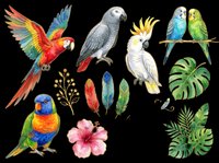 Colorful parrot collection featuring macaws, cockatoos, and budgies with tropical leaves and flowers, isolated on transparent background for t-shirt designs, clipart, stickers, and print-on-demand projects.