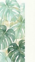 Watercolor monstera leaves in soft green tones on light background for tropical botanical decor and nature-inspired interior design projects.