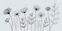 Delicate line drawing of wildflowers and botanical elements with transparent petals and detailed stems on light background, perfect for minimalist wall art.