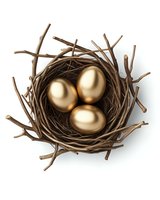 Golden eggs in natural brown nest on white background, symbolizing wealth, investment, and financial security.