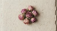 Dried pink roses arranged in circular pattern on textured paper background for vintage floral design projects and romantic decorations.