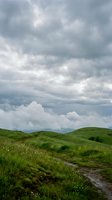 Rolling green hills with lush grass and wildflowers under dramatic cloudy sky. Scenic countryside landscape with winding path, suitable for travel, nature, and environmental design projects.