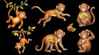 Cute cartoon monkeys in various poses isolated on transparent background, perfect for stickers, clipart, t-shirt design, print on demand, and sublimation projects.