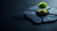 Small green tree growing through cracked dark stone surface, symbolizing hope, resilience and new beginnings against adversity in dramatic lighting.
