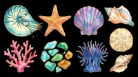 Watercolor ocean collection with seashells, starfish, coral, sea anemone, and stones, isolated on transparent background, ready for stickers, t-shirt design, and print on demand.