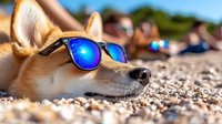 Adorable corgi dog wearing blue mirrored sunglasses relaxing on sandy beach with blurred people in background during sunny summer vacation day.