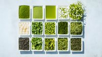 Green tea collection in white square bowls showing different forms: powder, leaves, buds, and sprouts. Various healthy organic ingredients for brewing and cooking.