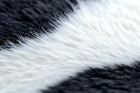 Close up macro shot of black and white animal fur texture showing soft fluffy hair strands in contrasting colors, natural pattern for backgrounds and design elements.