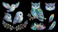 Colorful owl collection with isolated birds on transparent background, ready for t-shirt designs, clipart, stickers, sublimation, print-on-demand products and digital crafts.
