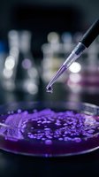 Laboratory pipette dropping purple liquid sample into petri dish for scientific research and medical testing in modern lab environment.