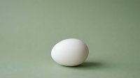 Single white chicken egg on sage green background with soft shadow for cooking and food photography concepts.