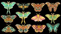 Colorful moths and butterflies collection isolated on transparent background, ready for stickers, t-shirt design, clipart, sublimation, and print on demand use.