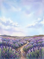 Winding dirt path through expansive lavender field with rolling hills under soft cloudy sky, suitable for travel, nature, and wellness design projects.