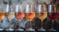 Elegant wine glasses filled with different varieties from white to rose and red against moody dark background with soft smoke effect creating atmospheric composition.