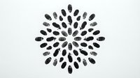 Black oval stones arranged in circular mandala pattern on white isolated background, ready for design projects, web graphics, and creative compositions.
