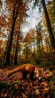 Red panda exploring autumn forest floor among fallen leaves with golden foliage and tall trees creating natural wildlife habitat scene.