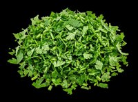 Chopped fresh parsley pile isolated on transparent background, ready for food design, stickers, print on demand, T-shirts, clipart, and sublimation projects.