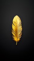 Single golden feather isolated on black background, displaying delicate texture and intricate details. Elegant minimalist composition for luxury design projects.