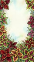 Hand-drawn coleus foliage border frame with watercolor wash background, featuring vibrant red, yellow, and green variegated leaves arranged around cream center space for text or design use.