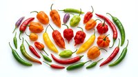 Colorful hot peppers and chili varieties arranged in circular pattern on white background, isolated for culinary, cooking, and food design projects.