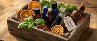 Natural essential oil bottles in rustic wooden box with dried orange slices, cinnamon sticks and fresh basil leaves for aromatherapy and wellness.