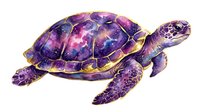 Cosmic sea turtle with purple and gold galaxy pattern on shell and flippers, isolated on white background for design projects.